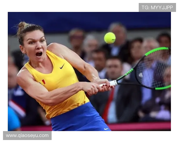 杭州网球队崛起之路联合会杯背后的奋斗与荣耀